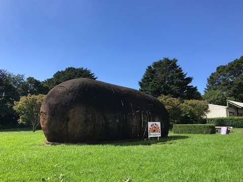 Photo: The Big Potato